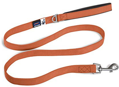 Basic Leash Orange L