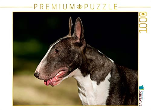 CALVENDO Puzzle EIN Motiv aus dem Kalender Bullterrier | 1000 Teile Lege-Größe 64 x 48 cm Foto-Puzzle für glückliche Stunden