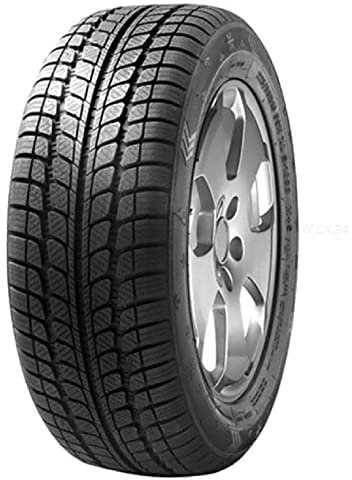 Fortuna Winter - 205/55R16 91H - Winterreifen