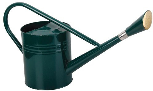Fallen Fruits 7,5 L Arrosoir – Vert