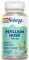 Solaray Flohsamen (Psyllium Husk) | 100 Kapseln | vegan | ohne Gentechnik | glutenfrei | laborgeprüft | ohne Zusatzstoffe | Nahrungsergänzungsmittel mit Flohsamenschalen | reich an Ballaststoffen