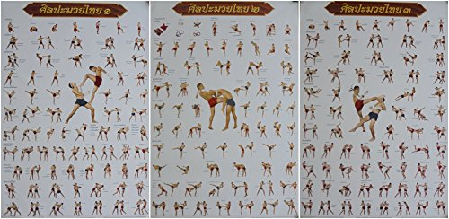 3 STÜCK SET Muay Thai Trainingsposter Traing Schulung Kickboxen Thailand Kampfsport Poster Druck 90 cm x 60 cm (NEU)