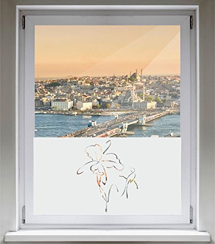 INDIGOS UG - Fensterfolie Blickdicht Kolibris und Orchideen - 1000 mm Länge - 500 mm Höhe Viereck - Sonnenschutzfolie Fenster - Sichtschutzfolie Bad, Küche, Fenster, Scheibe
