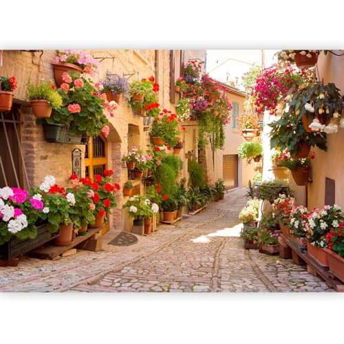Fototapete murando 200x140 cm Vlies Tapeten Wandtapete XXL Moderne Wanddeko Design Wand Dekoration Wohnzimmer Schlafzimmer Büro Flur Italien Toskana Gasse Stadt Ziegel Blumen d-B-0136-a-a