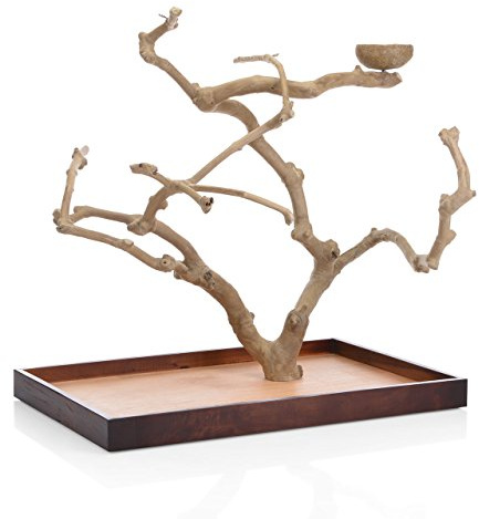 Java | Tree Tischfreisitz aus Kaffeeholz für Großsittiche & Papageien