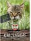 Sperli-Samen Katzengras SPERLI's Mini-Tiger-Gras 30 g