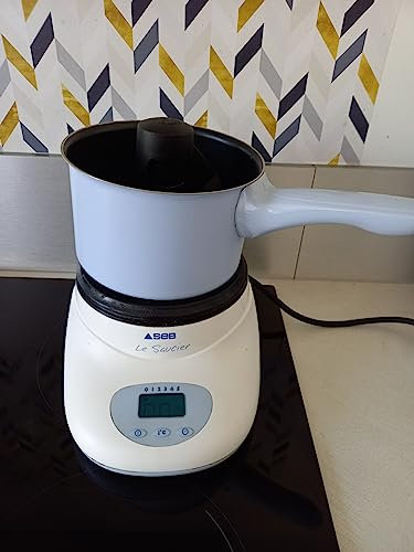 SEB 836804 Robot Saucier 1 L 2 Fonctions