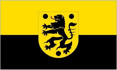 Fahne/Flagge Oelsnitz Vogtland 90 x 150 cm