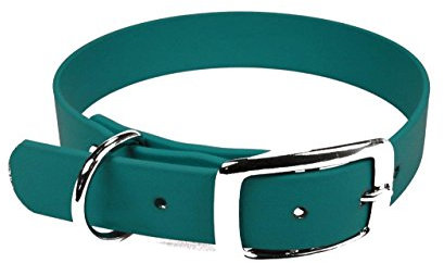 LENNIE BioThane Halsband, Dornschnalle, 19 mm breit, Größe 30-36 cm, Petrol/Teal, Aufdruck möglich
