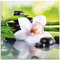 ARTland Wanddeko Glasbilder Wandbild Glas Bild einteilig Quadratisch Asien Wellness Zen Spa Blumen Blüten Orchideen Pflanze Steine Bambus T9IQ