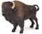 Papo - Amerikanischer Bison - Figur - 3 Jahre alt - Wildlife Collection - Handbemalt - Hohe Qualität - REGT die Fantasie an - Realistisch und langlebig - Lernspielzeug - Geschenkidee