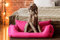 tierlando NEMO Hundebett Hundesofa Hundekorb Katzenbett Größe: N2 | Farbe: 08 Pink