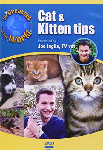 The Greatest in the World - Cat and Kitten tips