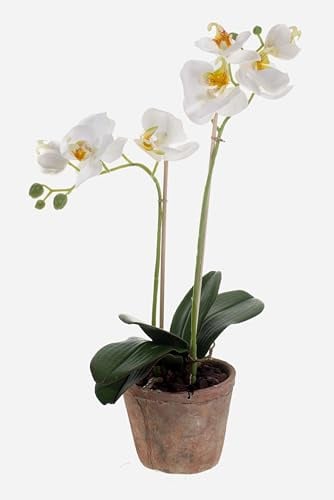 artplants.de Künstliche Phalaenopsis Orchidee MINA im Topf, 2 Zweige, weiß, 45cm - Deko Kunstblume