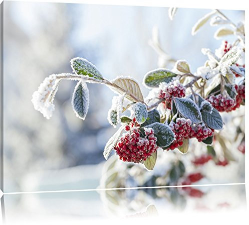 Pixxprint Vogelbeeren im Winter, Größe: 80x60cm, Leinwandbild, fertig gespannt, Wandbild, Dekoration, Kunstdruck, kein Poster