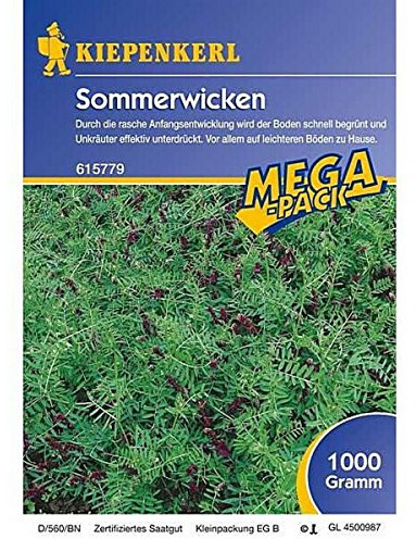 Kiepenkerl, Sommerwicken 1 Kg