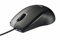 Trust 15862 Carve Mouse Ottico con Collegamento USB, Nero