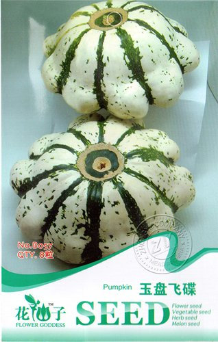 Las semillas de la herencia rara UFO Patty Pan de calabacín verde blanco de la raya de la calabaza de verano, paquete original, 8 semillas/paquete, calabazas ornamentales