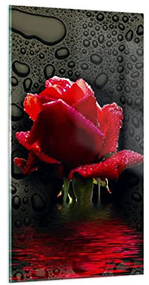 Bilder auf Glas 55x100cm Glasbild Blume rote rose wasser tau Groß Wanddeko Bild im Glas Schlafzimmer Küche Deko Wandbilder Dekoration Wohnzimmer Modern Wall Decor Wand Kunstdruck Art GPA55x100-2367