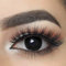 MYSA LENS® Lentilles De Contact De Couleur Fantaisie Crazy Lens Cosplay halloween Yeux Noir Oeil Noir Black Out Solution 10ML Etui Offert 12 Mois sans correction