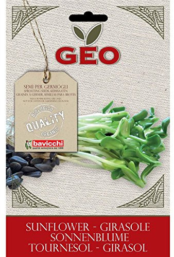 Geo Girasole Semi da Germoglio, Marrone, 12.7x0.7x20 cm