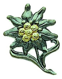 Mil-Tec Unisex Armstulpen-16825000 Armstulpen, Edelweiss, Einheitsgröße