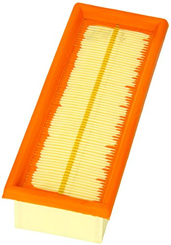 Coopersfiaam PA7160 Luftfilter