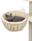 lionto Hamac en Peluche Douce pour Arbre à Chat, Ø 40 cm, Profondeur 25 cm, Couchage Douillet avec Filetage M8, Cadre en métal Robuste pour Petits et Grands Chats, Beige
