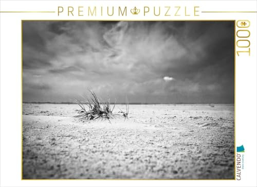 CALVENDO Puzzle Strandgeselle | 1000 Teile Lege-Größe 64 x 48 cm Foto-Puzzle für glückliche Stunden