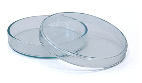 3 x Petrischale 120x20mm aus Kalk-Soda-Glas ohne Nocken - bis 135°C im Autoklaven sterilisierbar - Petrischalen, Kulturschale, Zellkulturschale, Kulturschalen, Agar Agar Schalen, Zellkulturschalen