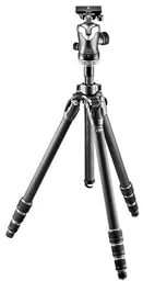 Gitzo GK2542-82QD Kit für Kamera (DSLR, 2,45 kg, 1800 mm)