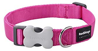Red Dingo Bucklebone Dog Collar Plain, Hot Pink, X-Small 12mm