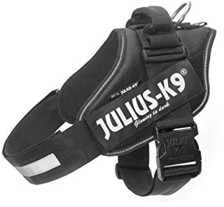 Julius K9 16IDC-P-1 IDC-Powergeschirr mit Logofeld, Gr. 1, schwarz