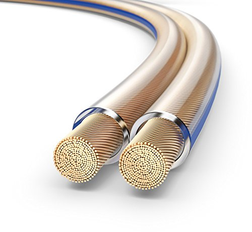 PureLink SP020-100 Cable de altavoz 2 x 4.0 mm² (99.9% OFC cable de cobre sólido 0.10mm) Cable de altavoz de alta fidelidad, 100m, transparente