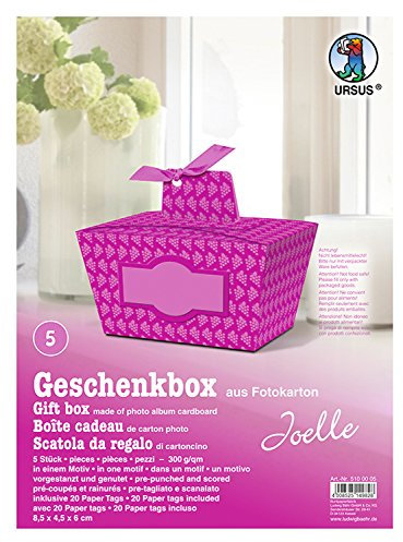 Ursus 5100005 - Geschenkbox Joelle, Trauben Motiv, violett, 5 Stück, aus Fotokarton 300 g/qm, beidseitig bedruckt, vorgestanzt und genutet, inklusive 20 Paper Tags, ideal für kleine Überraschungen