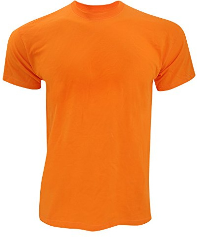 Fruit of the Loom Screen Stars Mens Original Short Sleeve T-Shirt (M) (Orange)