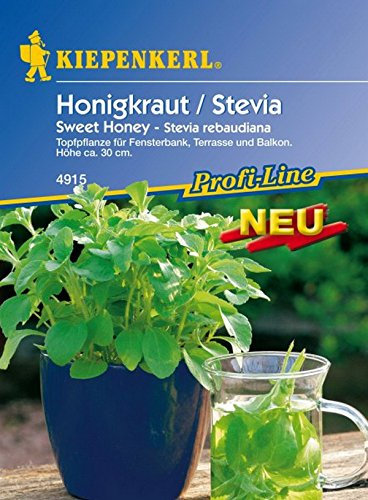 Kiepenkerl, Honigkraut Stevia Sweet Honey