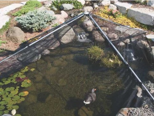 Swell UK Pondsafe Pondshelter Koi and Pond Protector Net