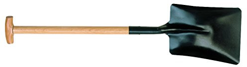 Bahco 4255M0020 - Pelle Carree T Manche N.2