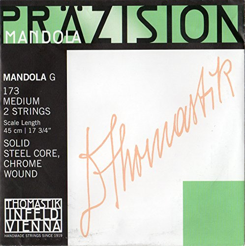 Thomastik single string G 173medium (1 pair) polished chrome steel band, flatwound for mandola precision set 174medium