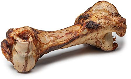 DIBO Mamut-Knochen, ca. 30cm, der kleine Naturkau-Snack oder Leckerli für Zwischendurch, Hundefutter, Qualitätskauartikel ohne Chemie von DIBO