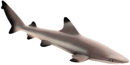 Blacktip Reef Shark by Safari