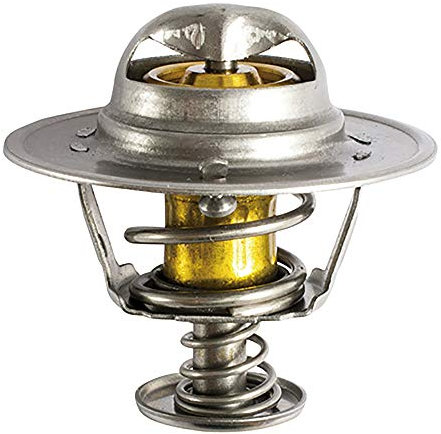 FAE 5307585 Termostato, Refrigerante