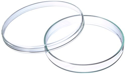 neoLab E-2133 Boîtes de Petri, 100 mm x 15 mm (Lot de 5)