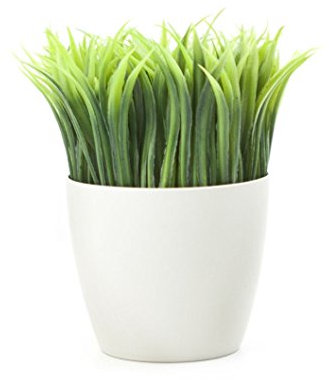 Kikkerland en pot Pen Stand (Sc24)