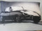 Proflax Kissenhülle 6657 Jaguar 30x50cm