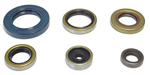 Athena P400270400047 Wellendichtringsatz Motor
