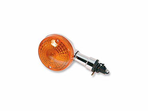 Blinker Hinten rechts
