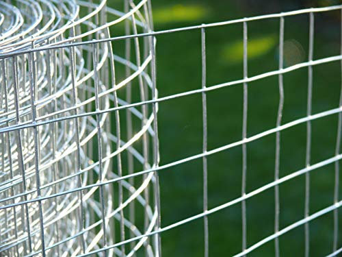 Handy Roll of Wire Mesh 3ft Tall 1x1 Holes 16G Fox/Dog Proof & Cat Safe 6 Meter Roll - 4wire