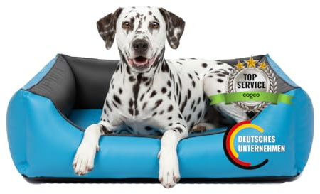 CopcoPet Hundebett Rocco Orthopädisch Türkis/Grau 70 x 55 cm – Wendebett aus pflegeleichtem Kunstleder – Waschbar, bequem & gelenkschonend – Mit erhöhtem Rand – Für kleine Hunde, formstabil